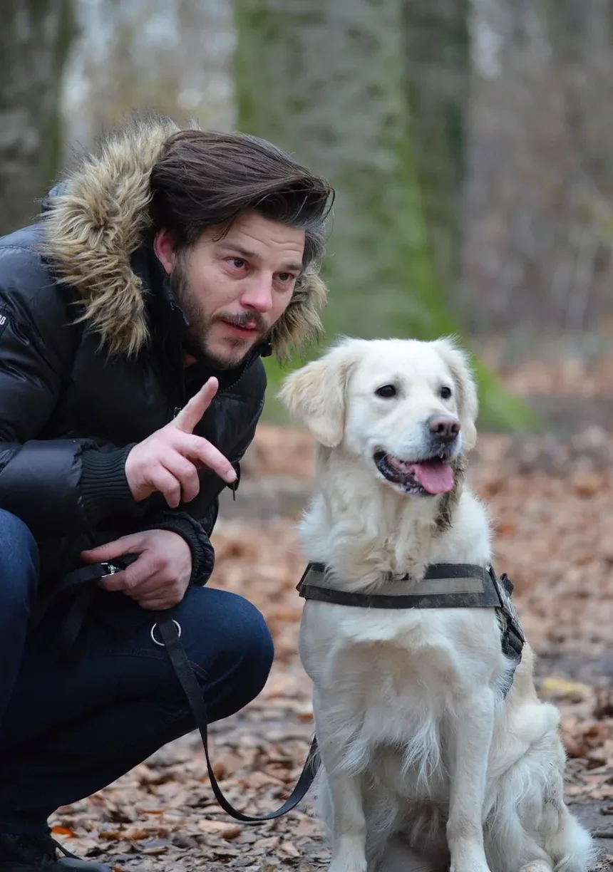 Insuficiência Renal em Coelhos: Sintomas, Tratamento e Prevenção